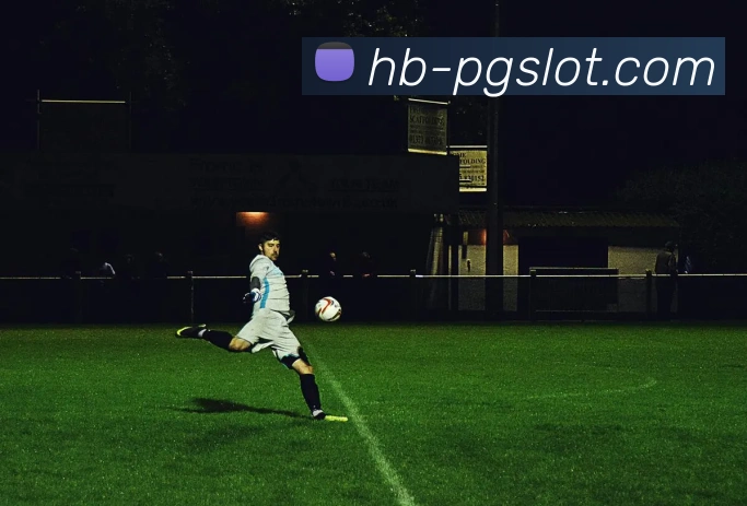 赏金女王PG官网服务体系